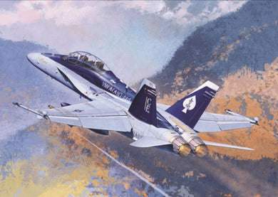 Academy 1/72 F/A 18D HORNET