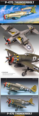 Academy 1/72 P-47D 