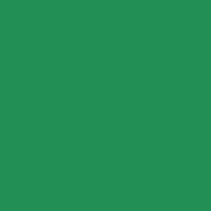 Mission Models RC Green Paint 2oz (60ml) (1)