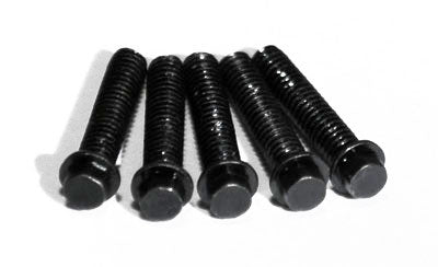 RC4WD Miniature Scale Hex Bolts (M2 x 10mm) (Black)