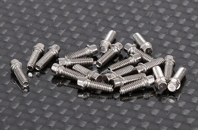 RC4WD Miniature Scale Hex Bolts (M2 x 6mm) (Silver)