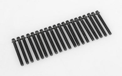 RC4WD Miniature Scale Hex Bolts (M2 x 16mm) (Black)